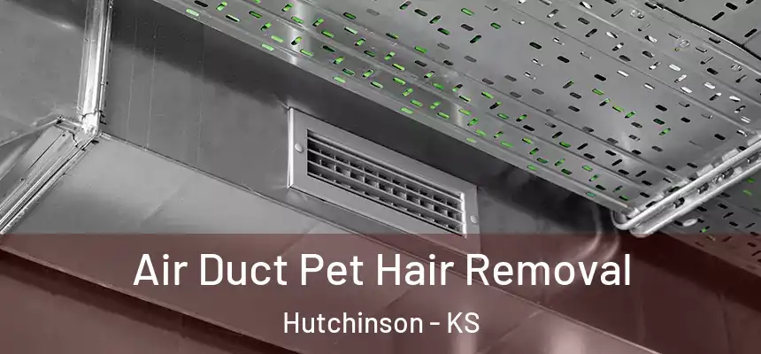  Air Duct Pet Hair Removal Hutchinson - KS