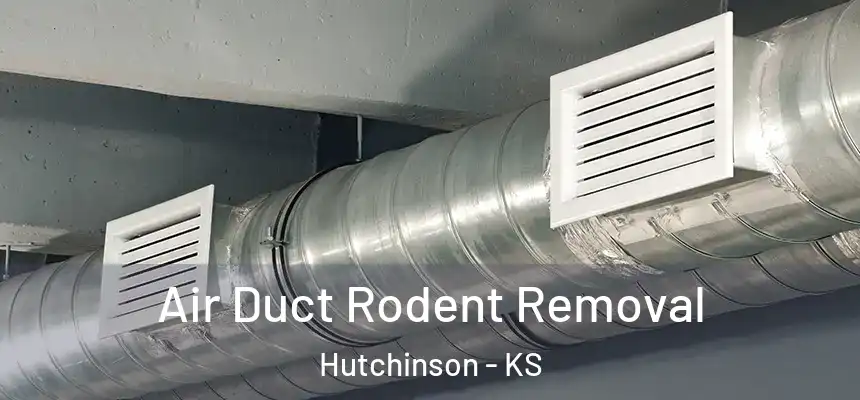  Air Duct Rodent Removal Hutchinson - KS