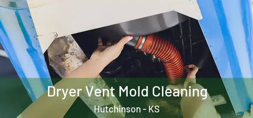  Dryer Vent Mold Cleaning Hutchinson - KS