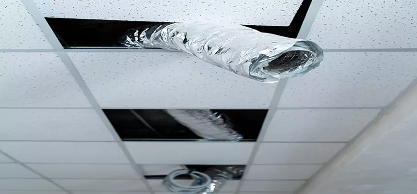 Affordable HVAC Sanitizing After Pest Removal in Hutchinson