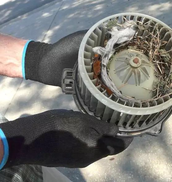 About Air Duct Mice Removal in Hutchinson, KS