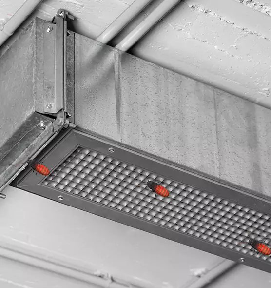 Affordable Insect Removal from Air Ducts in Hutchinson, KS