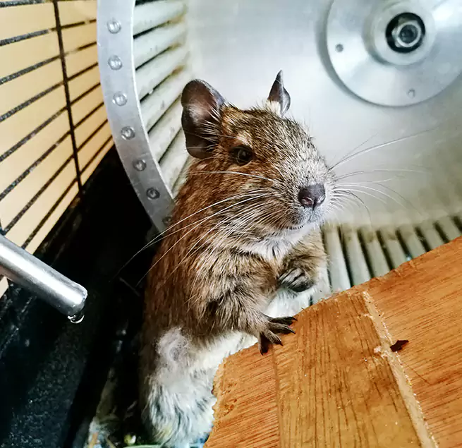 Why Homeowners & Businesses Trust Us Hutchinson, KS