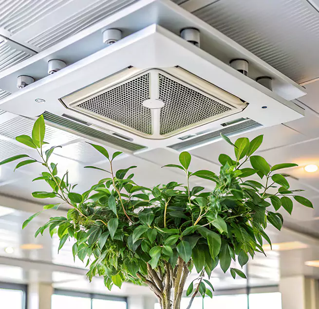 Why Homeowners & Businesses Trust Us in Hutchinson, KS